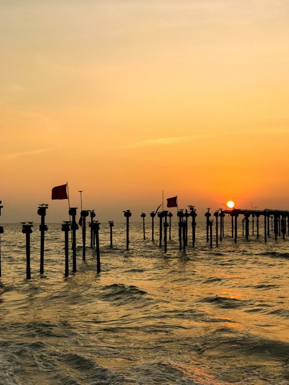 Alappuzha-2