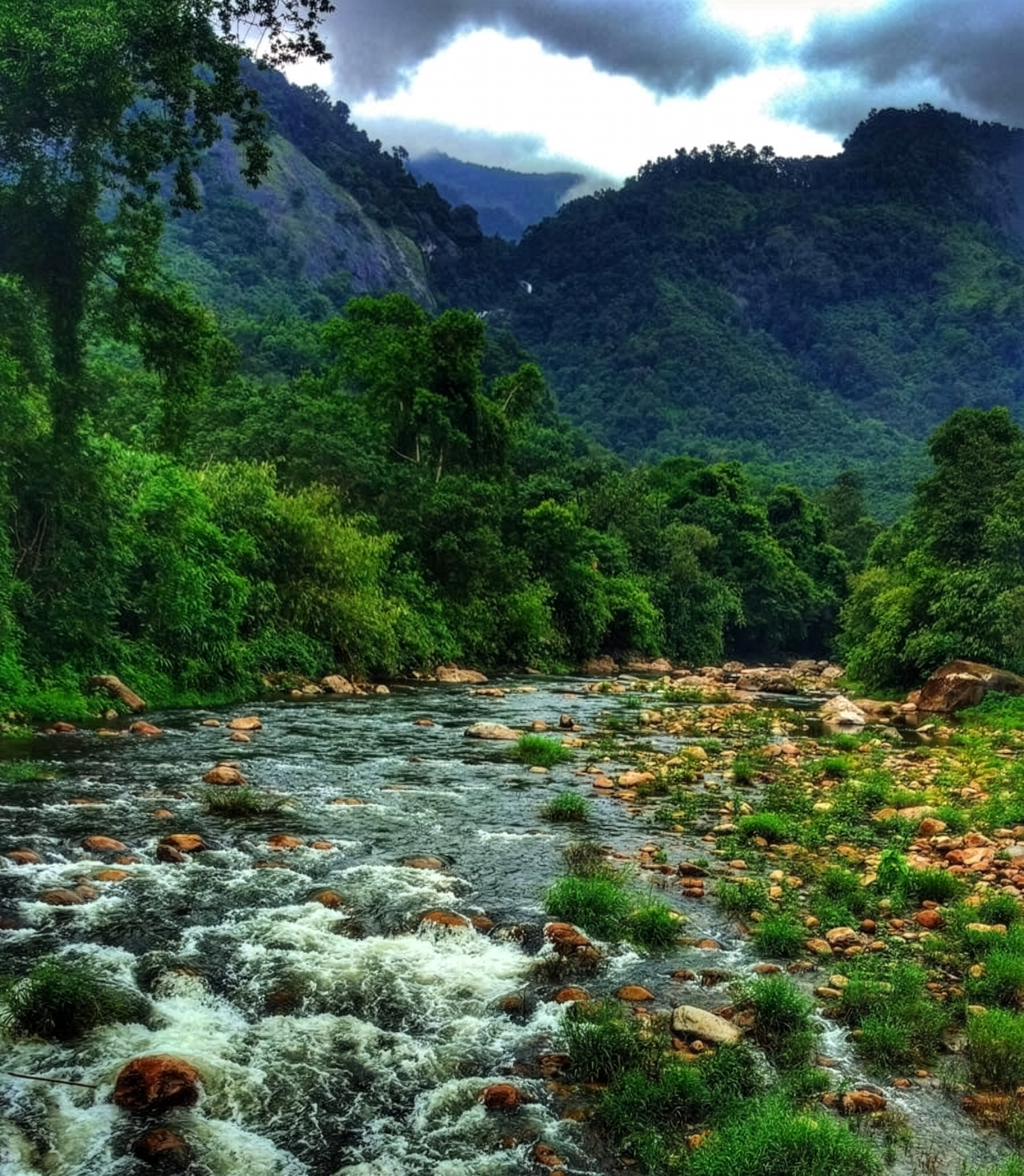 Mankulam-4