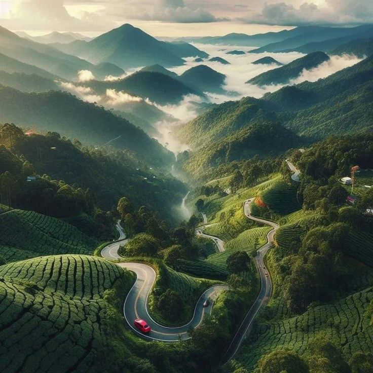 Munnar-1