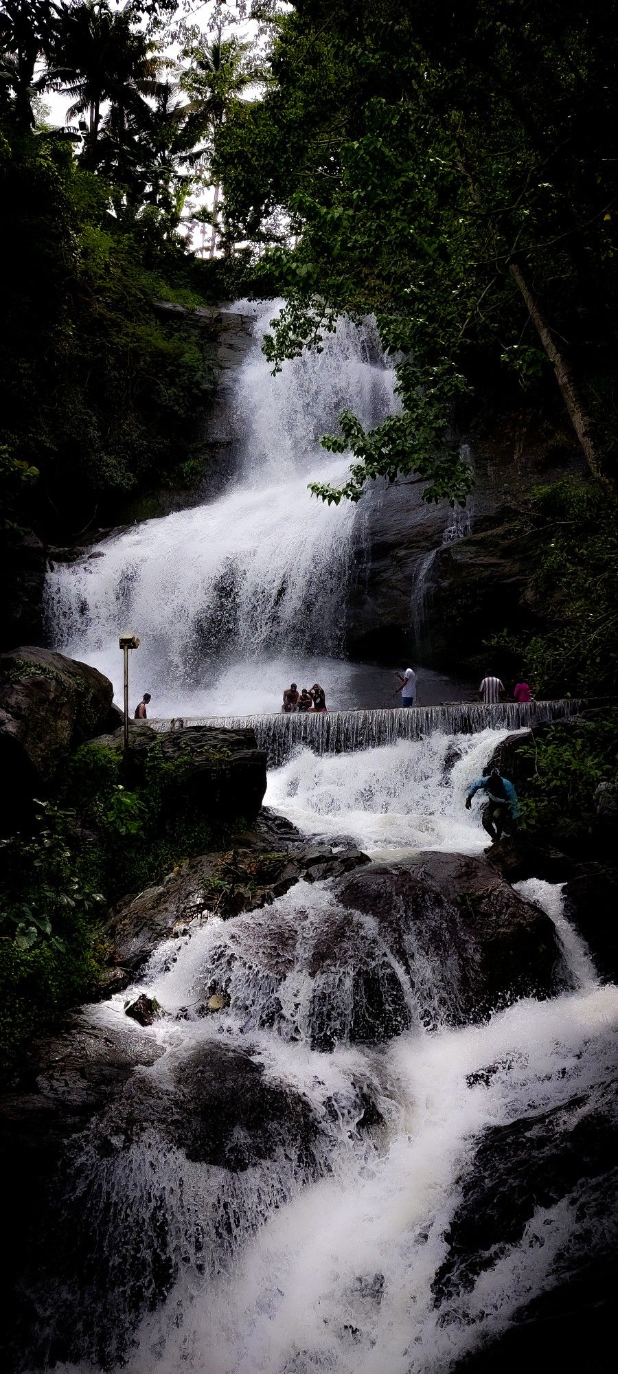 Munnar-3