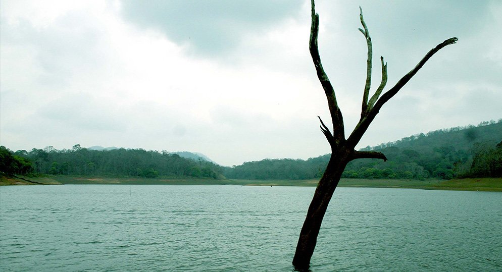 Thekkady-3
