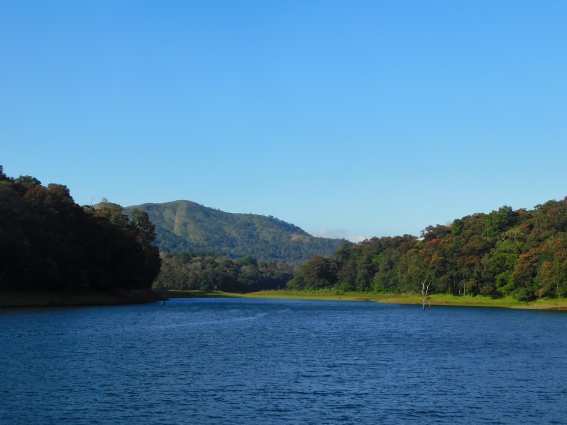 Thekkady-4